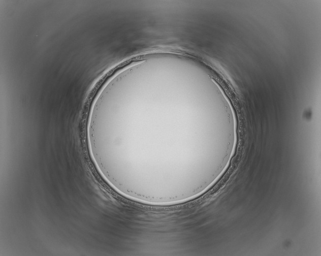 X0000116831260201001291636