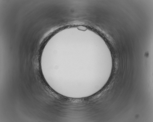 X0000116831262201001291636