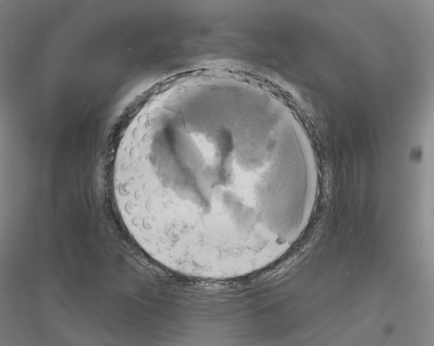 X0000116831263201001291636