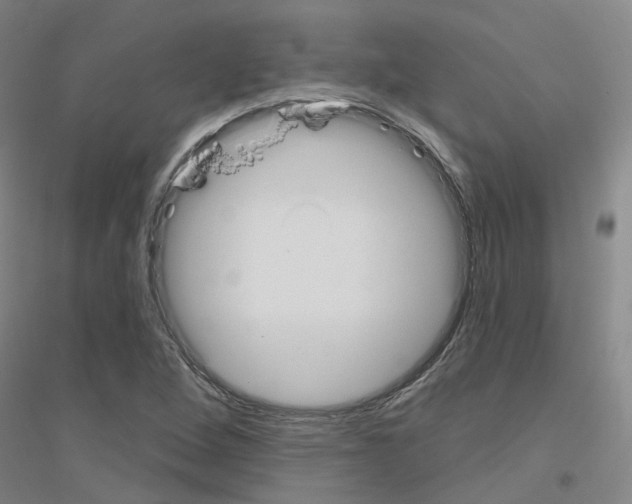 X0000116831264201001291635