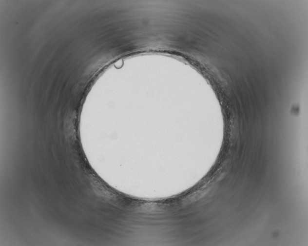 X0000116831265201001291635