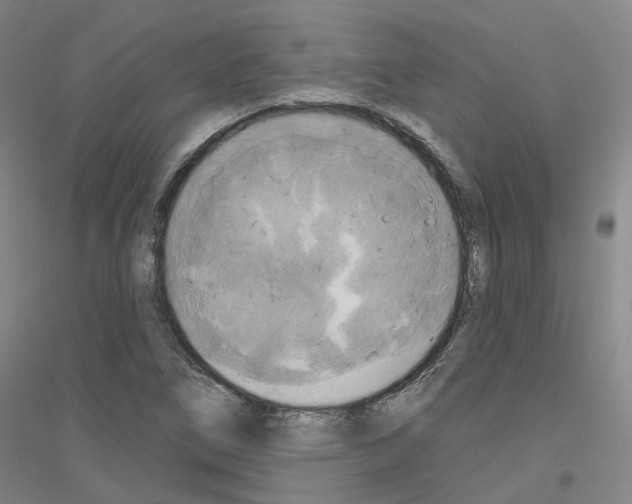 X0000116831266201001291635