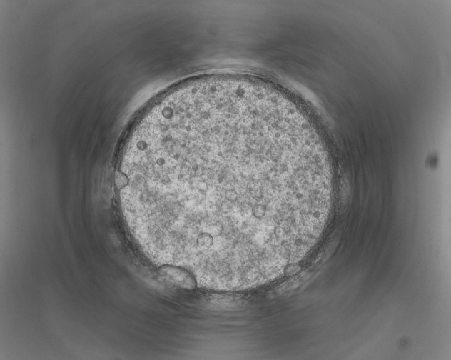 X0000116831267201001291635