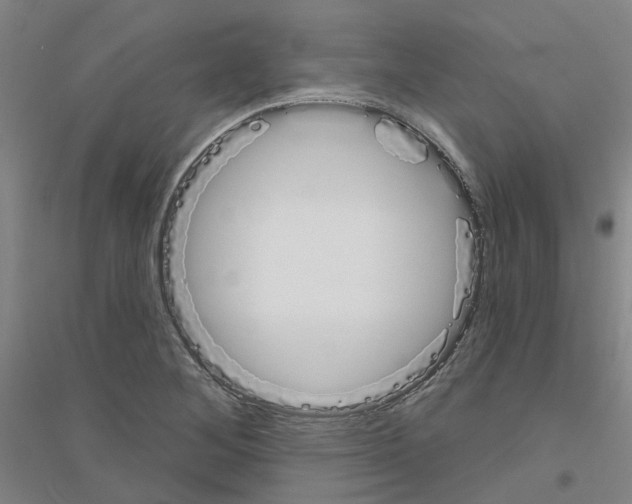 X0000116831268201001291635