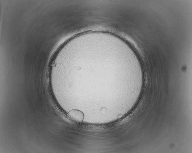 X0000116831270201001291635