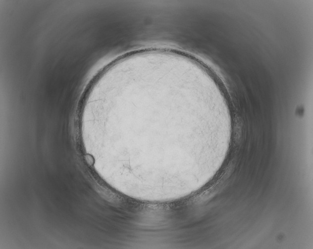 X0000116831271201001291635