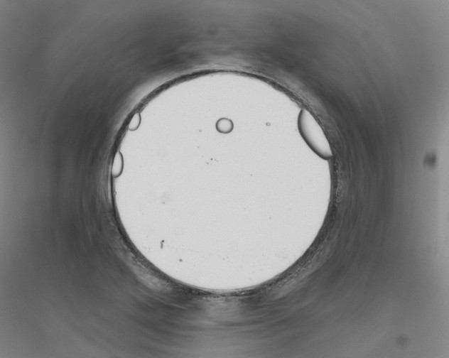 X0000116831272201001291635