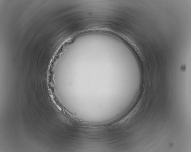 X0000116831273201001291635