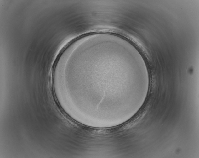 X0000116831275201001291635