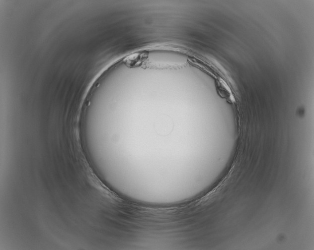 X0000116831276201001291635