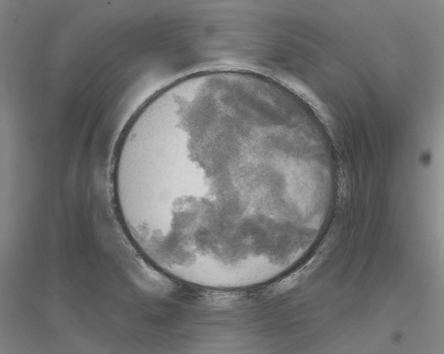 X0000116831278201001291635