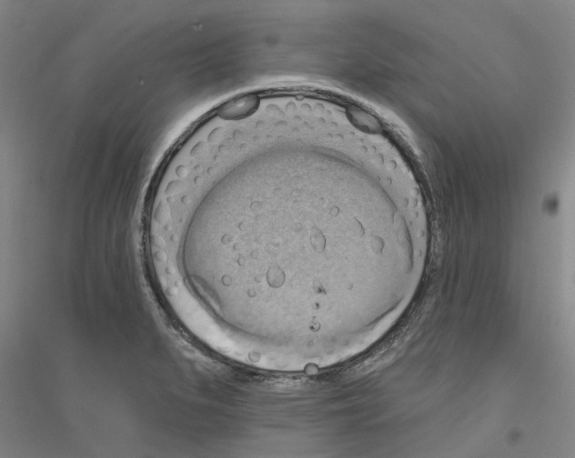 X0000116831279201001291635