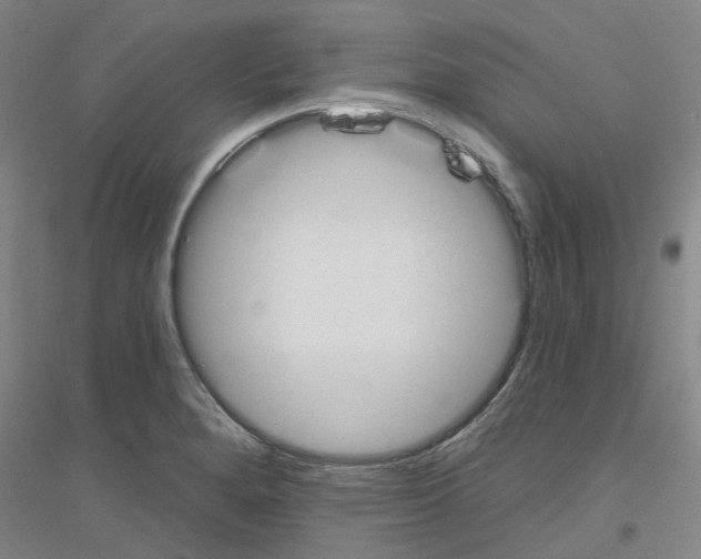 X0000116831280201001291635