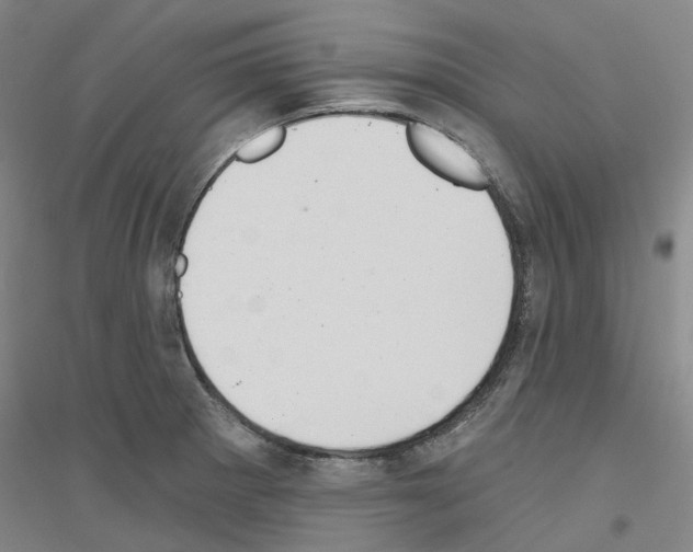 X0000116831281201001291635