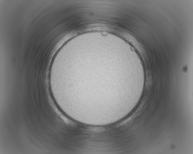 X0000116831282201001291635