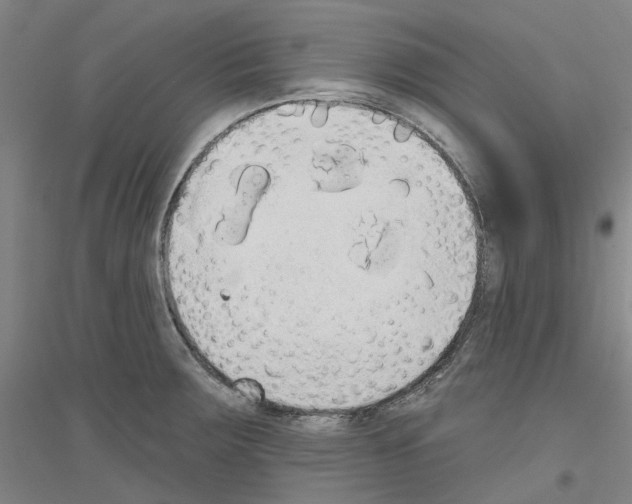 X0000116831283201001291635