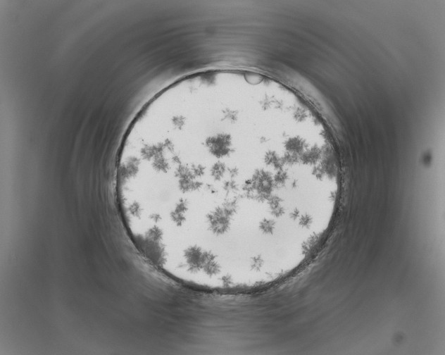 X0000116831284201001291635