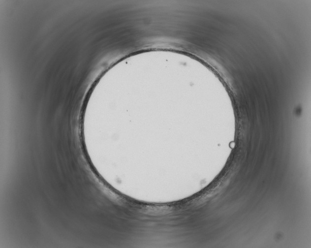 X0000116831285201001291635