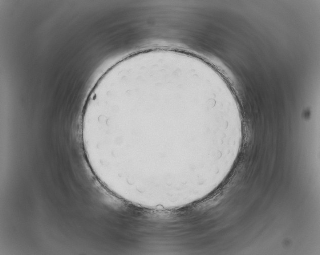 X0000116831287201001291635