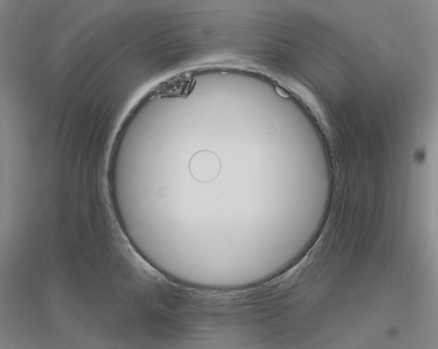 X0000116831288201001291635