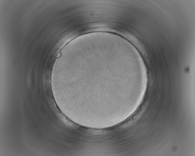 X0000116831289201001291635