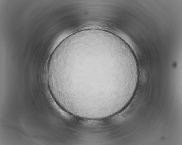 X0000116831290201001291635