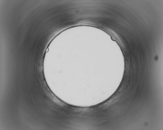 X0000116831292201001291635