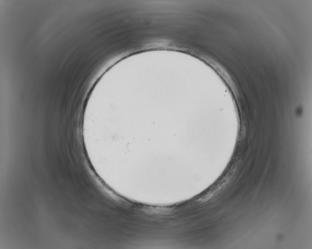 X0000116831293201001291635