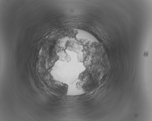 X0000116831297201001291634