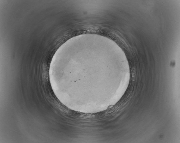 X0000116831298201001291634