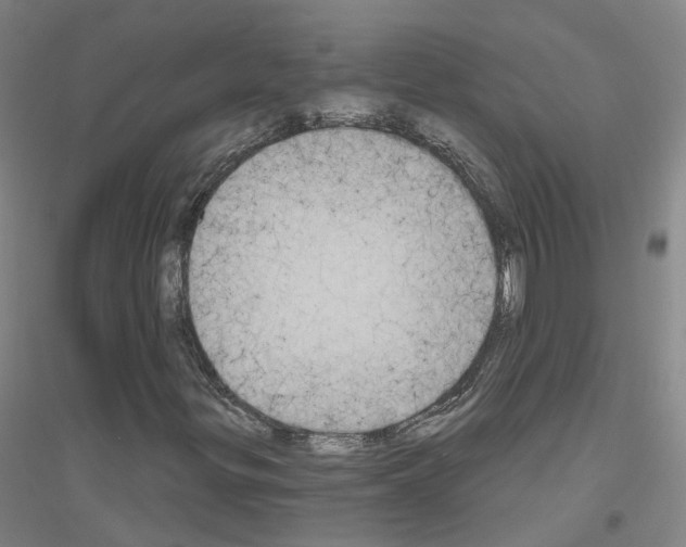 X0000116831299201001291634