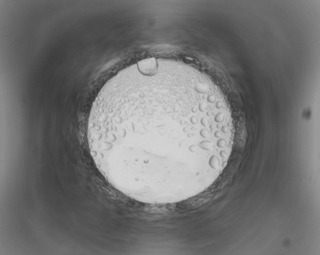 X0000116831301201001291634