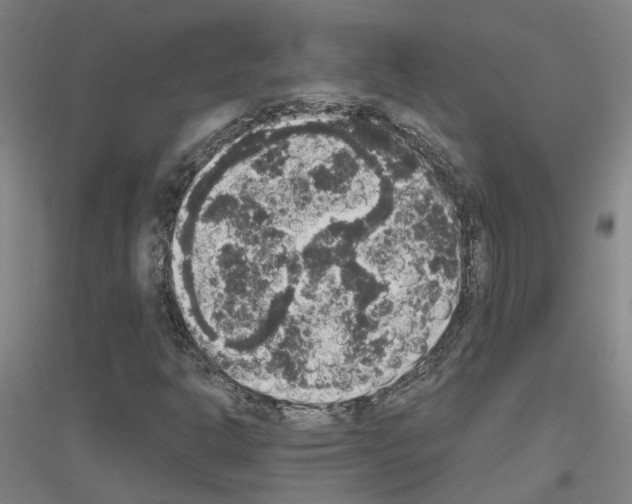 X0000116831302201001291634