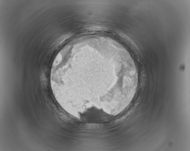 X0000116831305201001291635