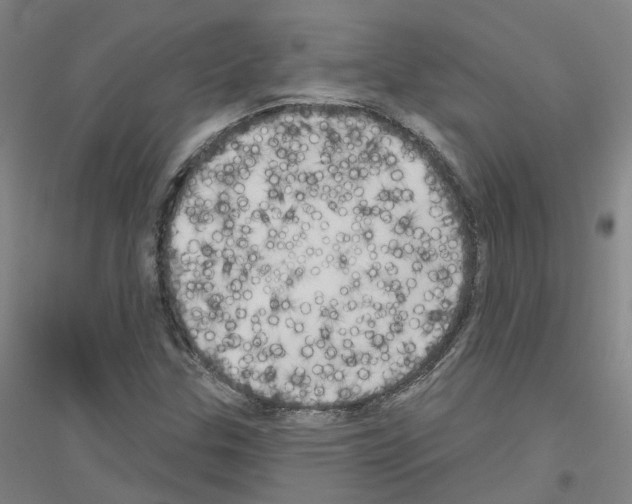 X0000116831307201001291635