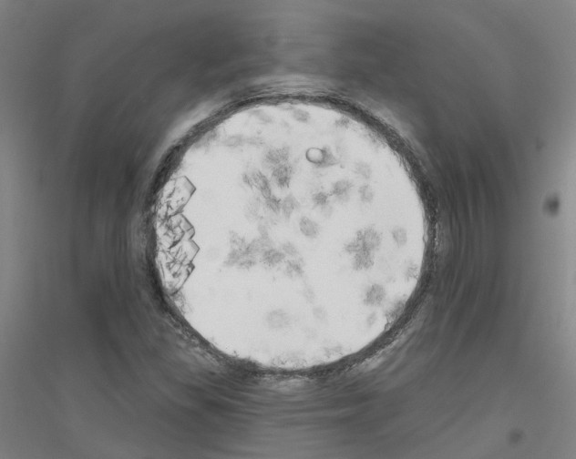 X0000116831309201001291635