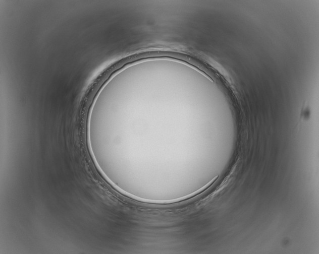 X0000116831310201001291635