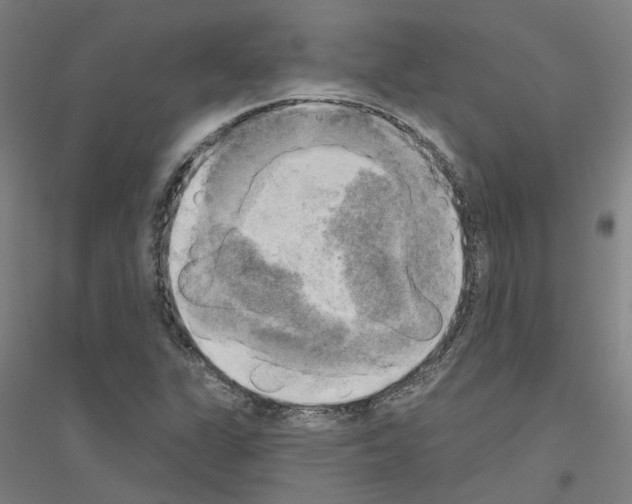 X0000116831311201001291635