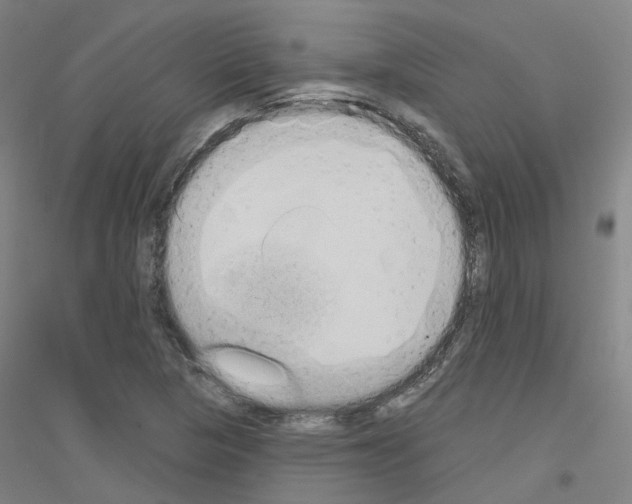 X0000116831313201001291635