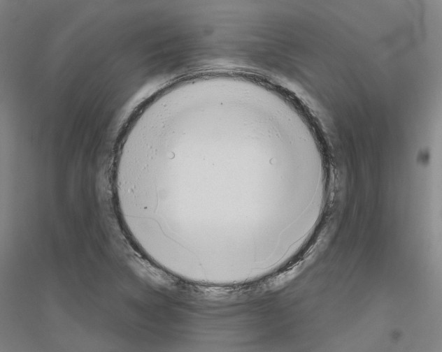 X0000116831314201001291635