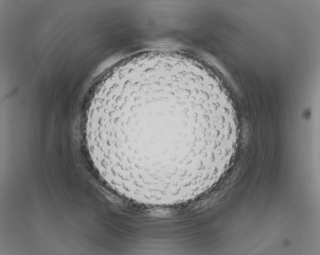 X0000116831315201001291635