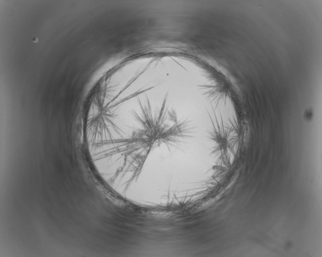 X0000116831317201001291635