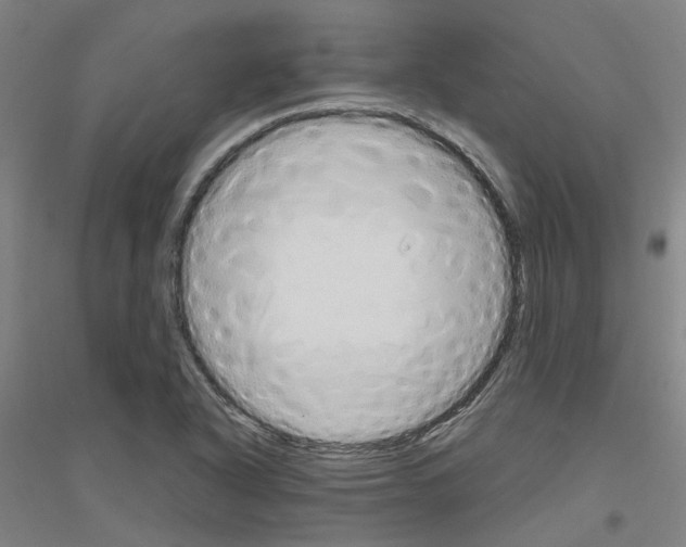 X0000116831318201001291635