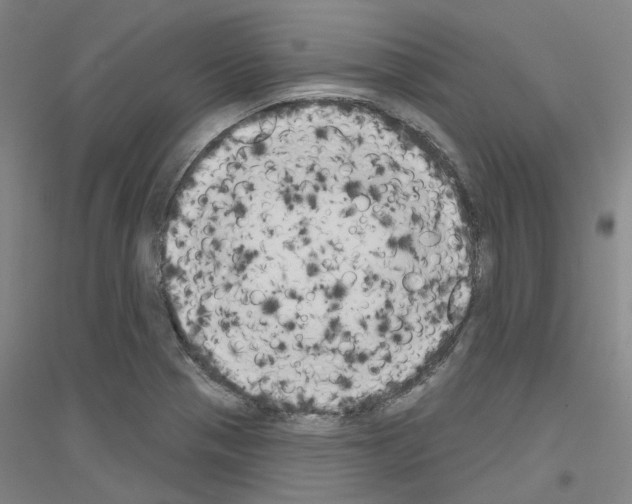 X0000116831321201001291635