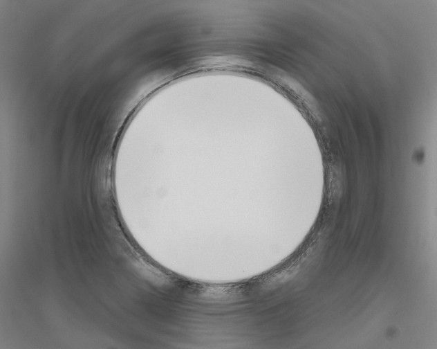 X0000116831322201001291635