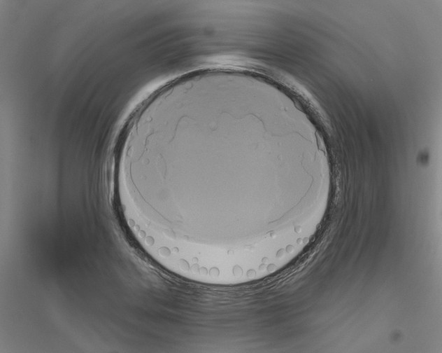 X0000116831323201001291635