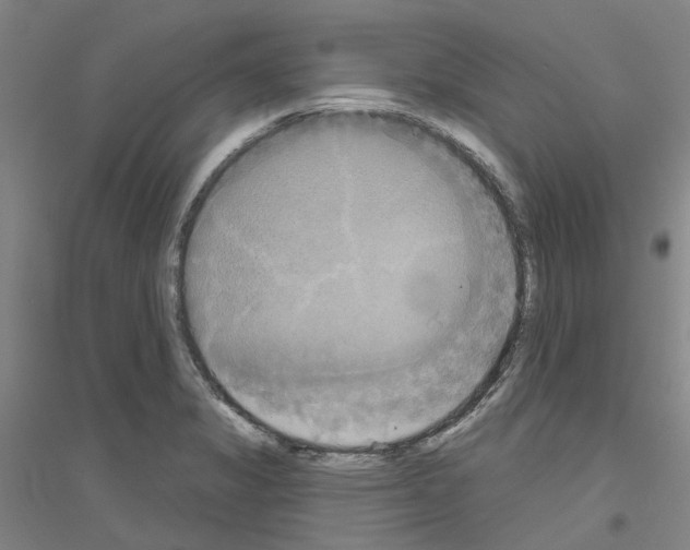 X0000116831325201001291635