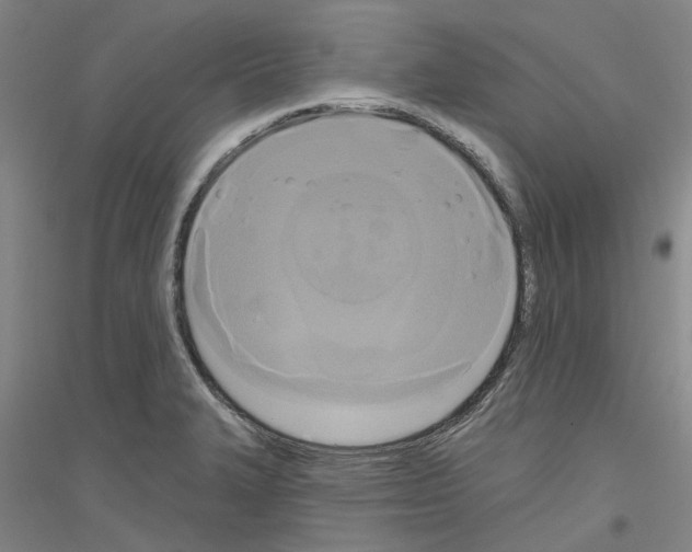 X0000116831327201001291635