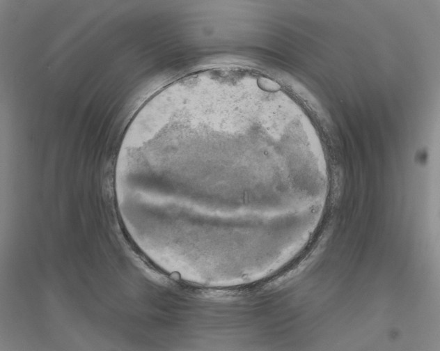 X0000116831329201001291635