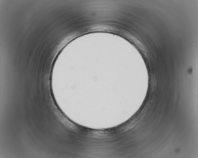 X0000116831330201001291635